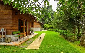 Rancho Amalia